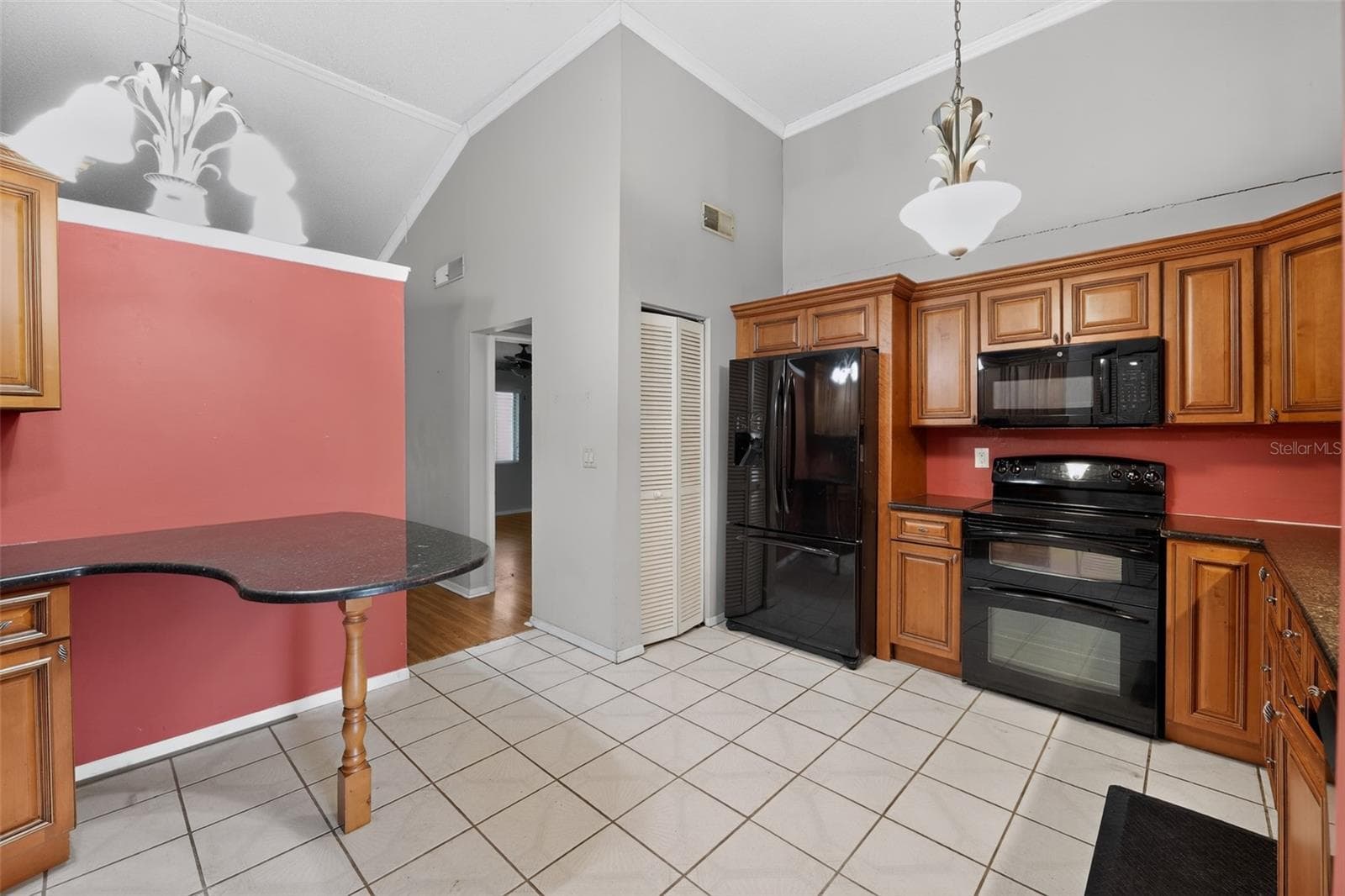 kitchen - 3205 LAUREL DALE DR, TAMPA