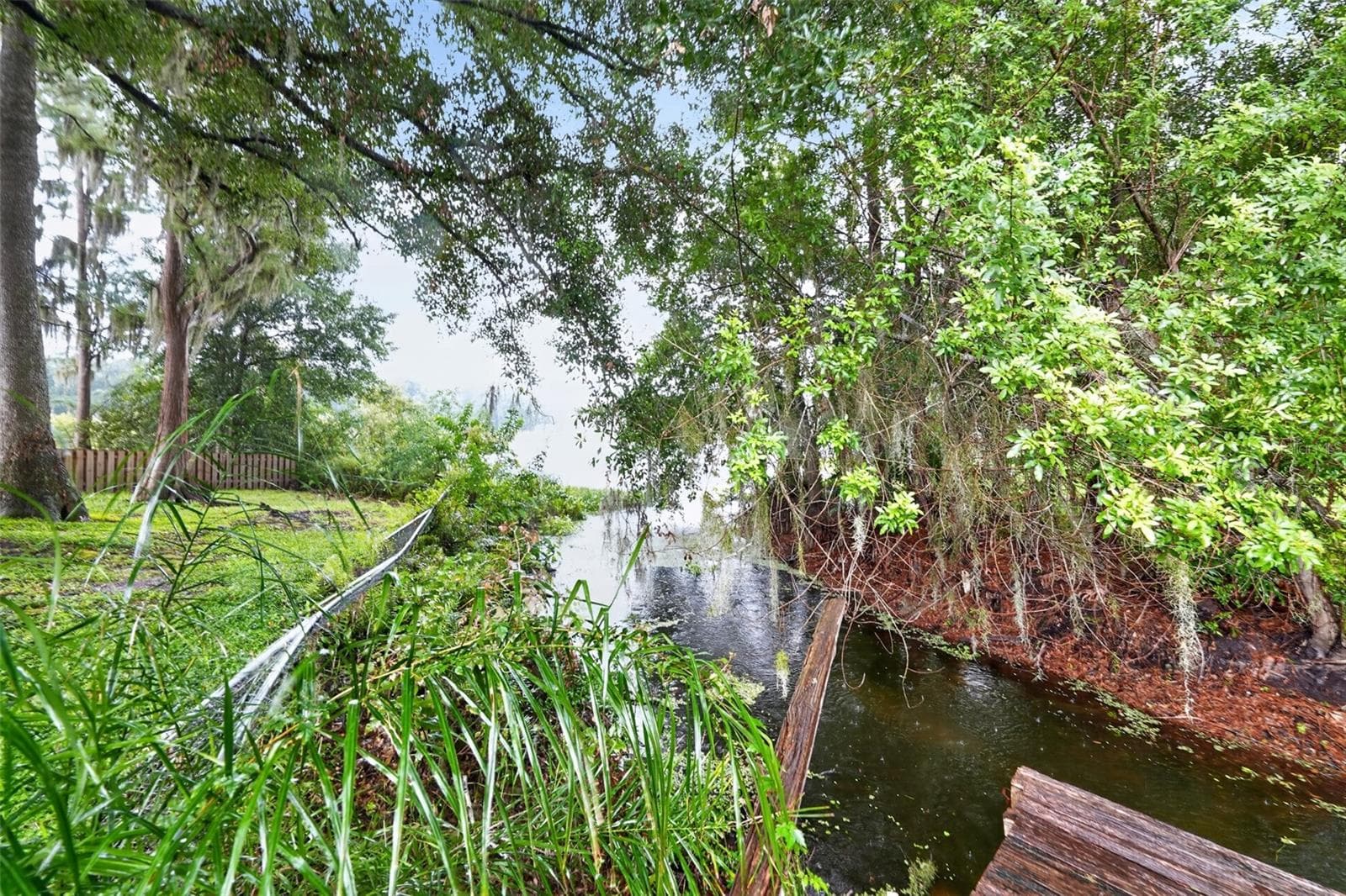 canal to the lake - 3205 LAUREL DALE DR, TAMPA