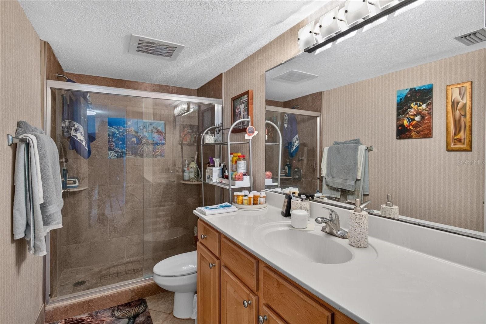 Secondary Hall Bath With Walk In Shower - 6100 GULFPORT BLVD S #401, GULFPORT