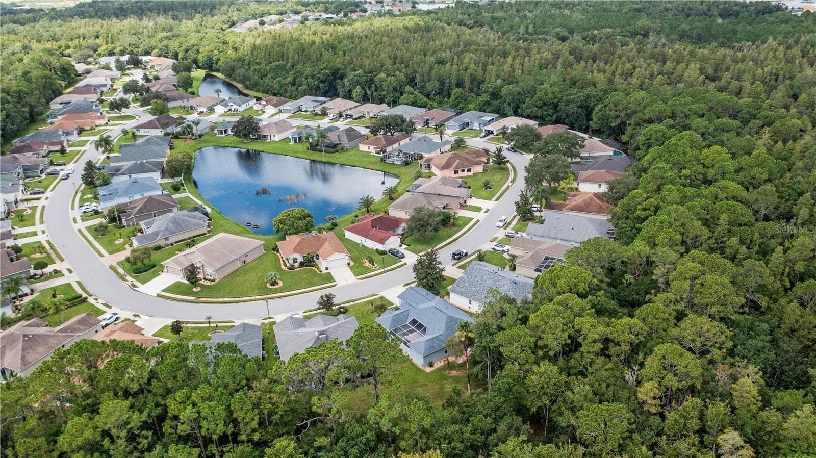 Aerial - 3007 BELLFLOWER WAY, LAKELAND