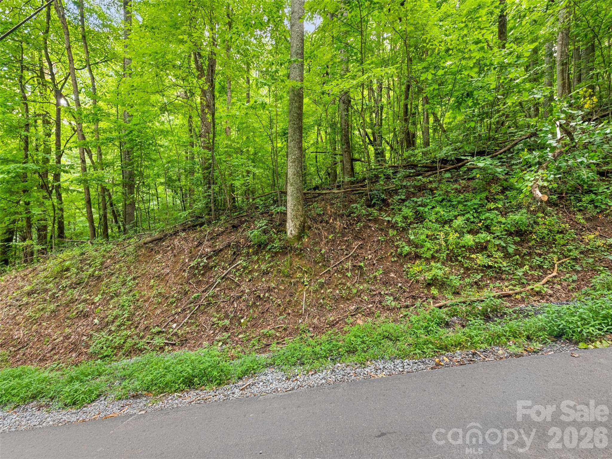 00 Dogwood Trail