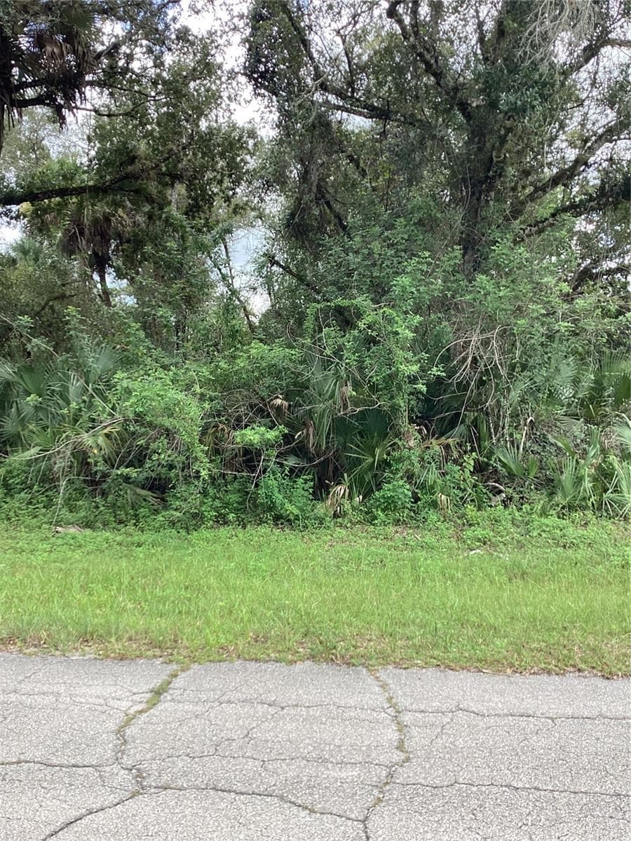 Wooded Lot With Paved Road Frontage - MARCH LN, LABELLE