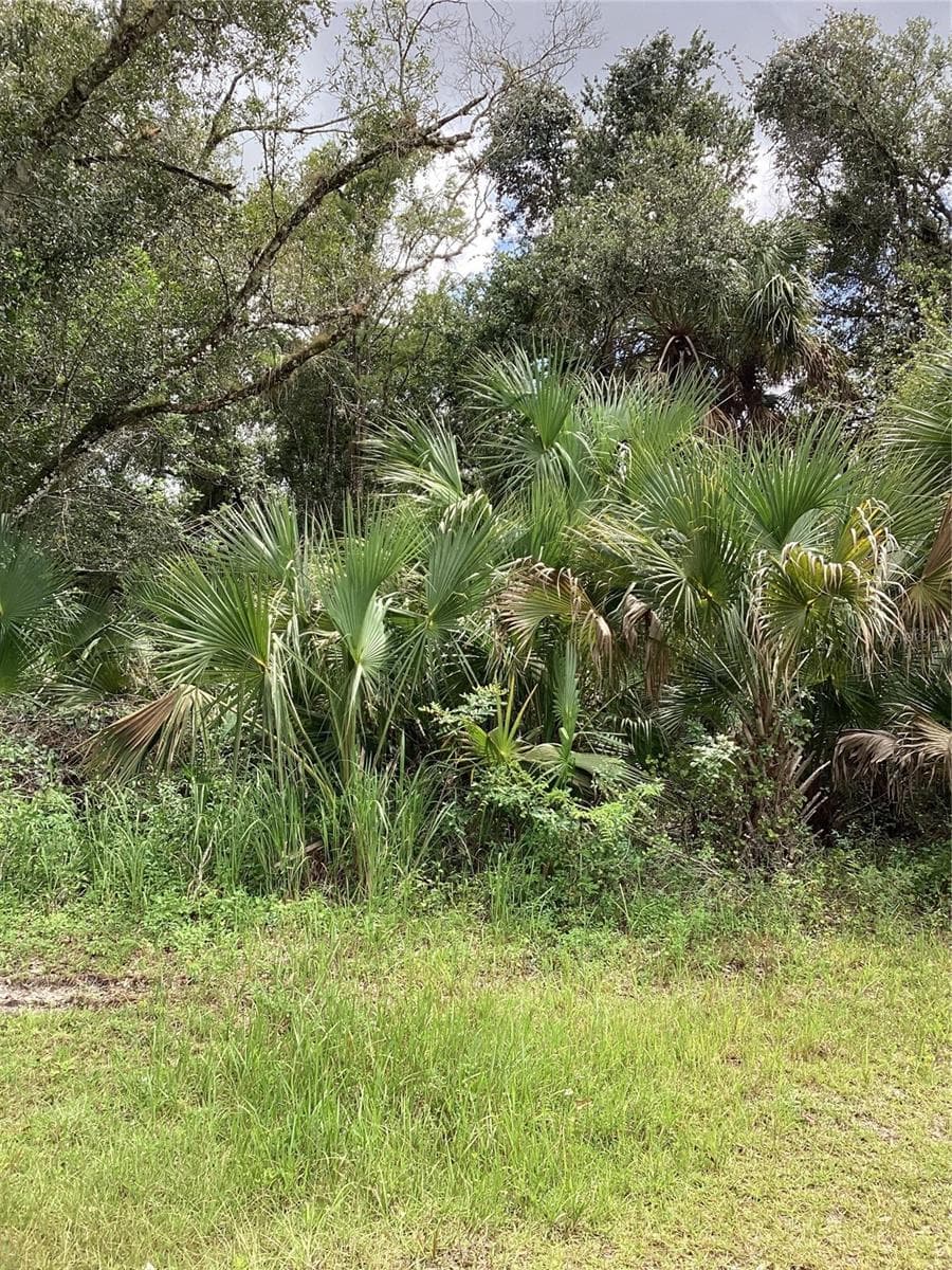 Wooded Lot With Paved Road Frontage - MARCH LN, LABELLE