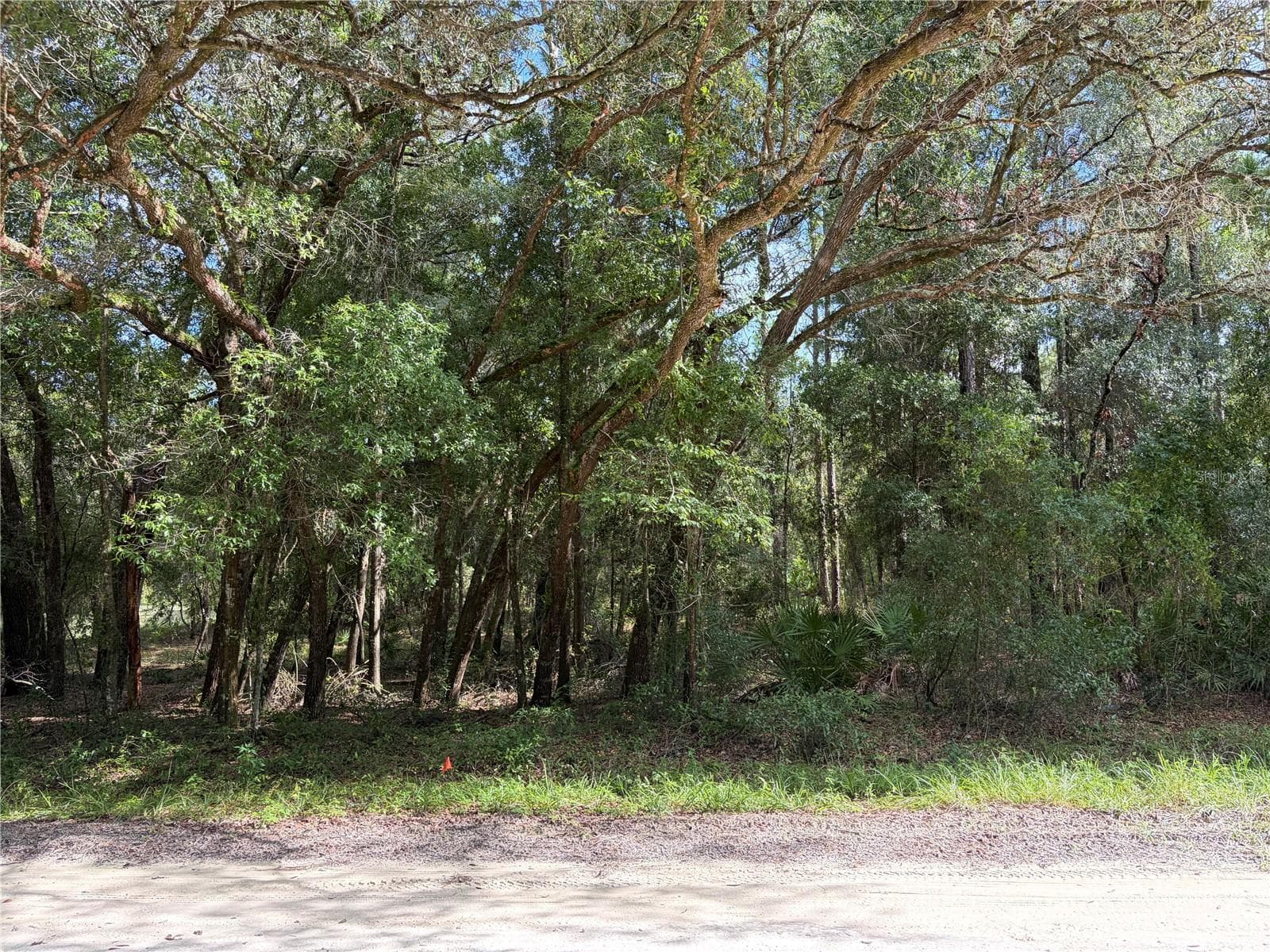 Land at 12640 SW 76TH LN, DUNNELLON, photo 3 of 8