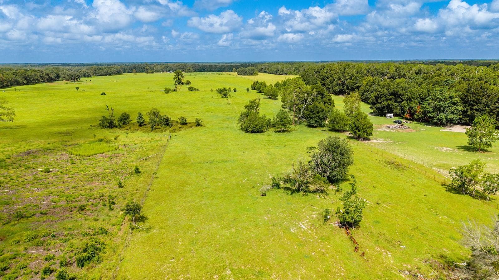 Land at 0000 NW 20TH ST, BELL, photo 8 of 11