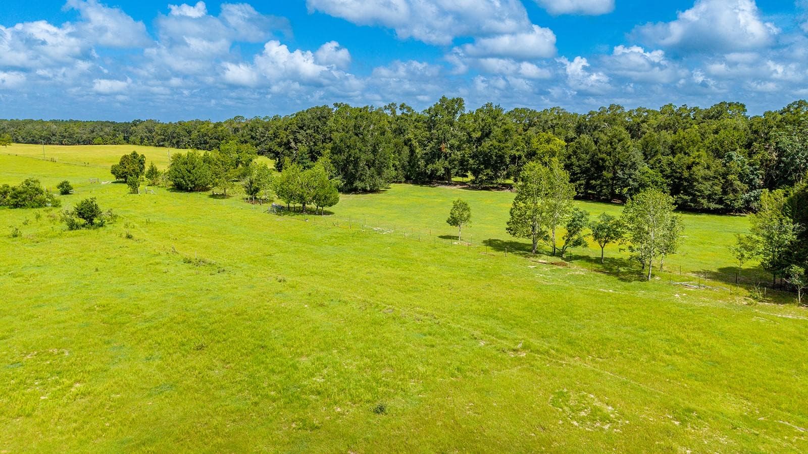 Land at 0000 NW 20TH ST, BELL, photo 10 of 11