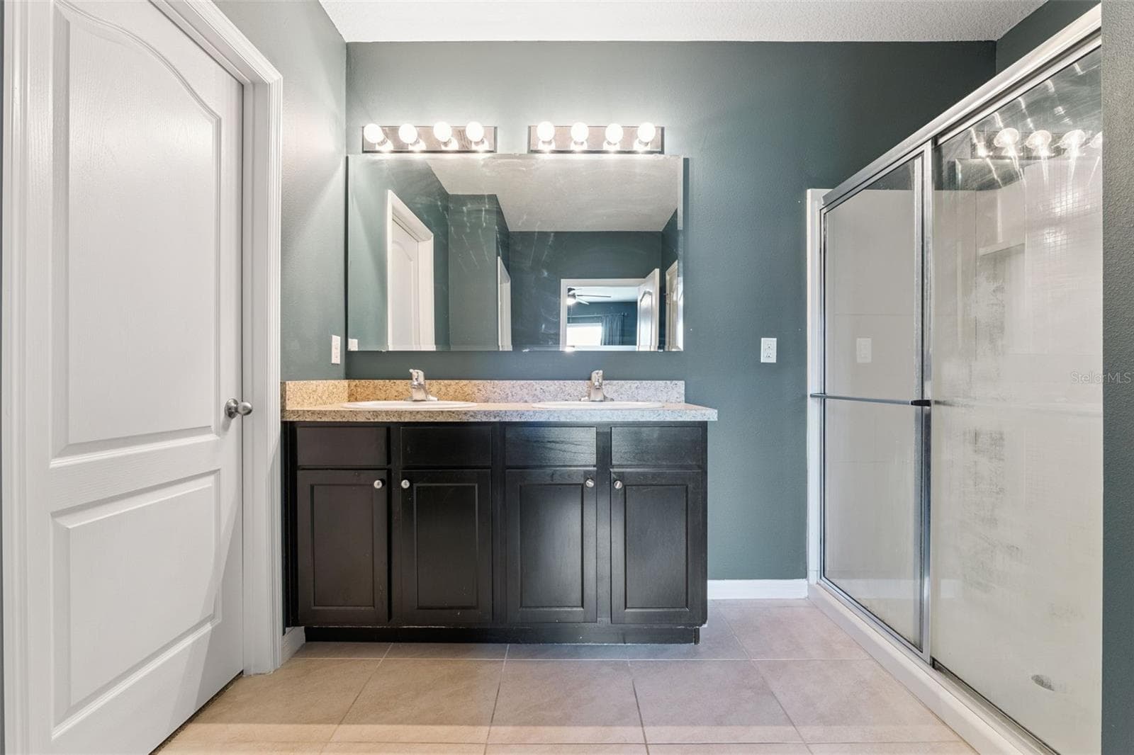 Primary Suite bath - 10528 BRONZE LEAF CT, LEESBURG
