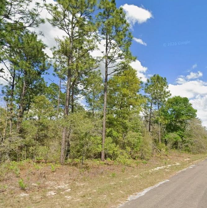 Land at 2175 W GALAXY LN, CITRUS SPRINGS, photo 3 of 5