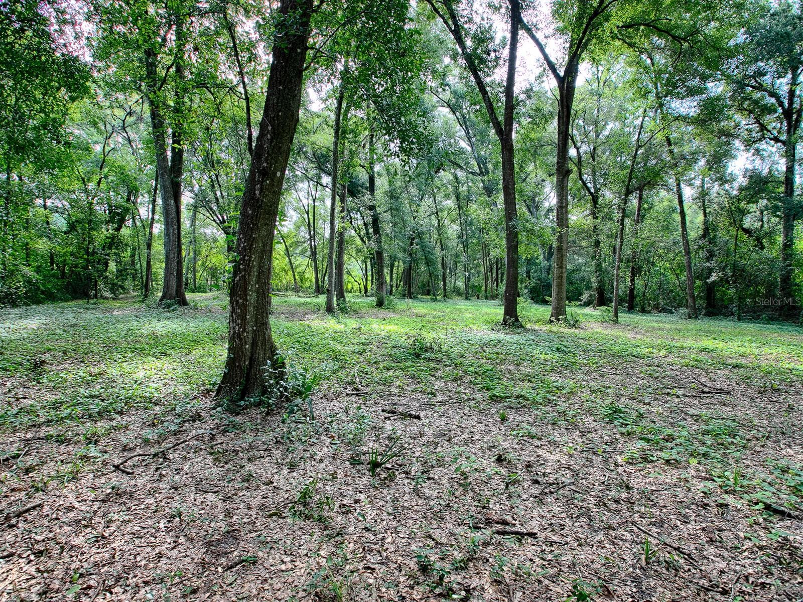 Land at 4905 PLYMOUTH SORRENTO RD, APOPKA, photo 9 of 14