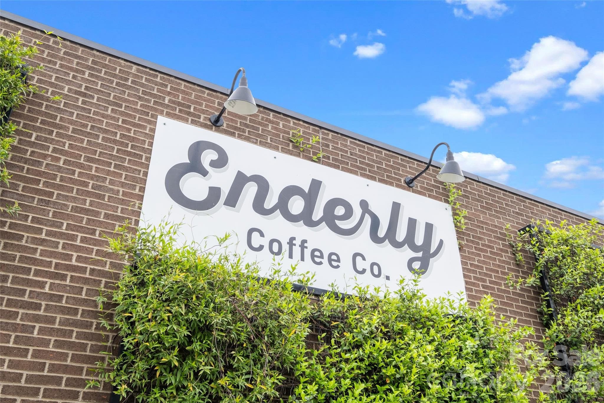 Enderly Coffee - 812 State Street, Charlotte