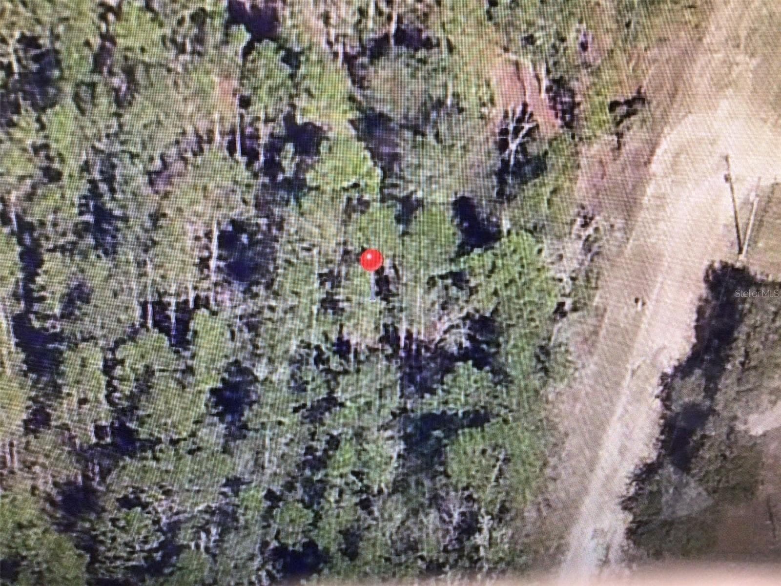 Land at 0 SW 158 AVE, OCALA, photo 4 of 5