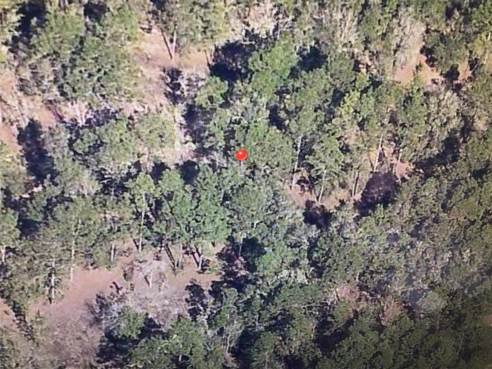Land at 0 SW 19 PL, OCALA, photo 4 of 5