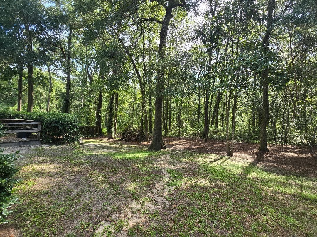 Sloping back yard. Great views of the woods! - 13607 NW 135 DR, ALACHUA
