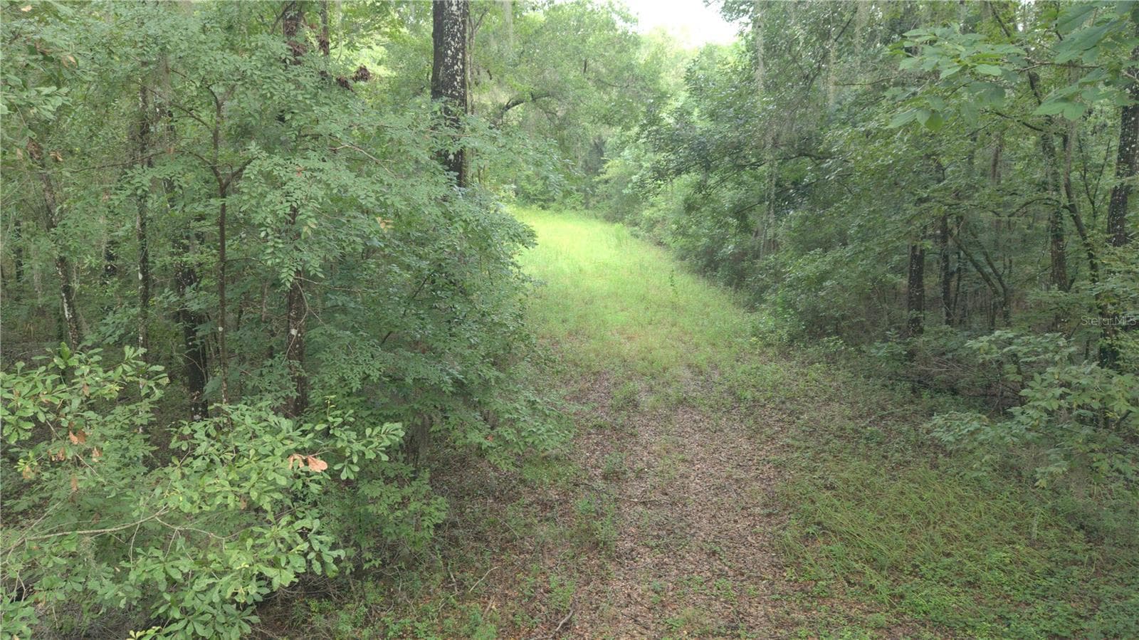 Land at 14186 ROSY GULL AVE, WEEKI WACHEE, photo 8 of 24