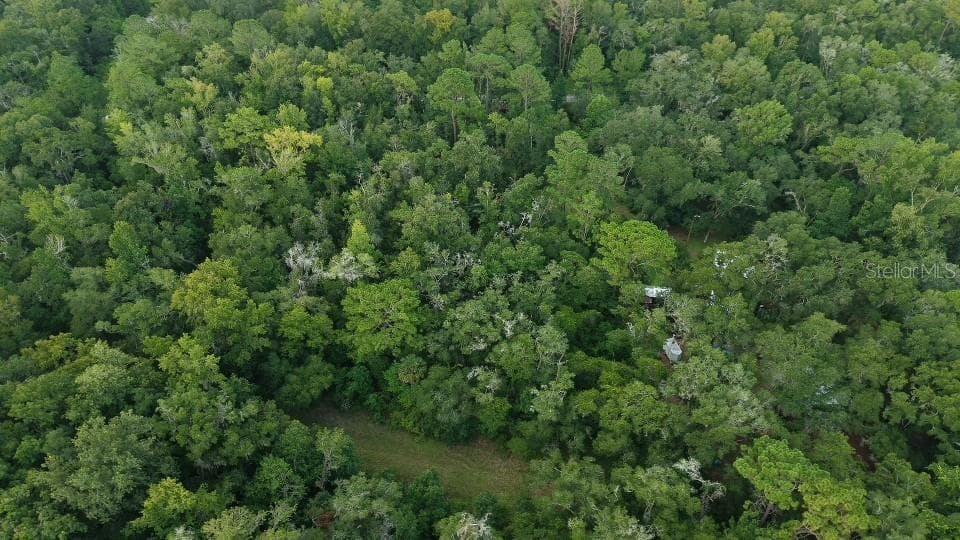 Land at 14186 ROSY GULL AVE, WEEKI WACHEE, photo 14 of 24