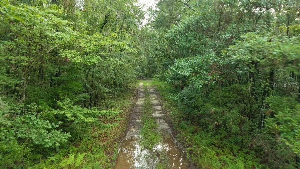 Land at 14186 ROSY GULL AVE, WEEKI WACHEE, photo 20 of 24