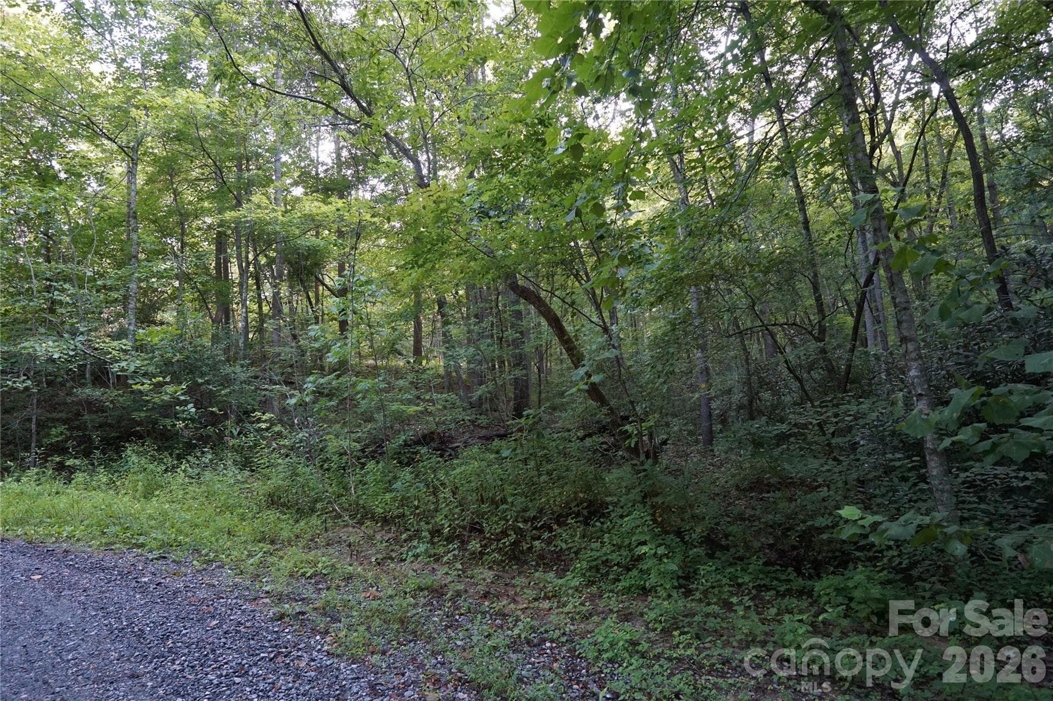 Acreage at 0 S Poplar Drive, Lake Lure, photo 10 of 19
