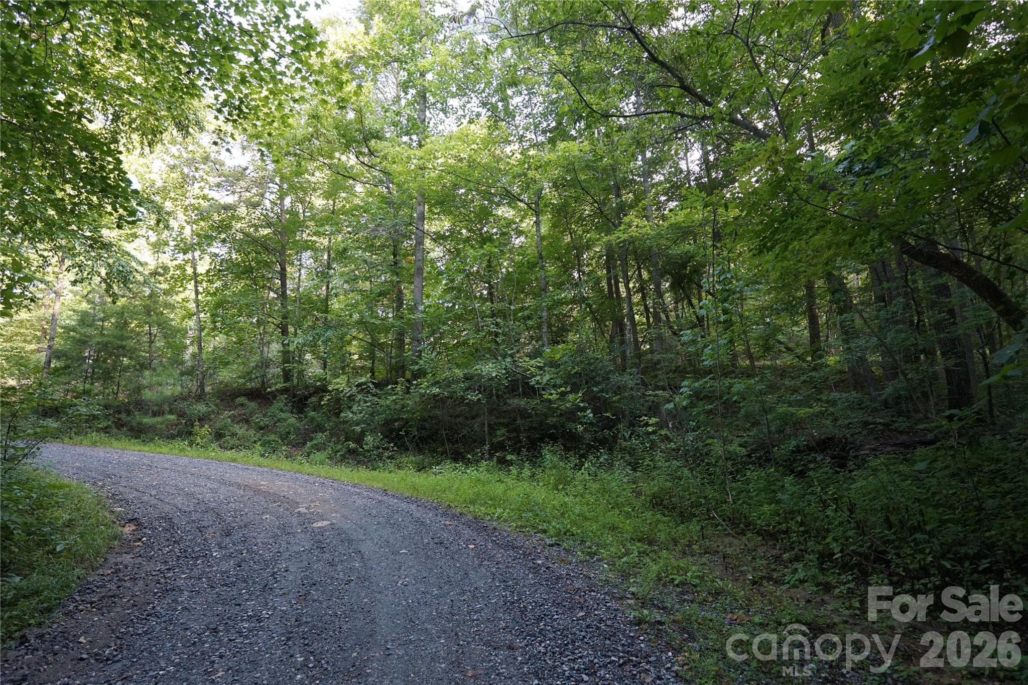 Acreage at 0 S Poplar Drive, Lake Lure, photo 11 of 19