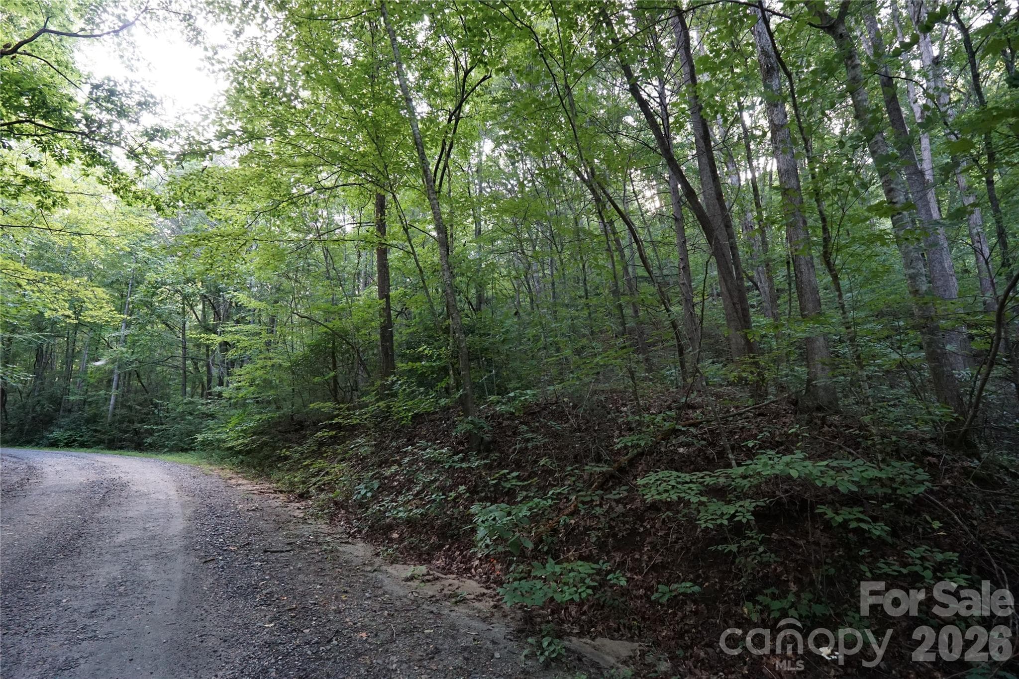 Acreage at 0 S Poplar Drive, Lake Lure, photo 12 of 19