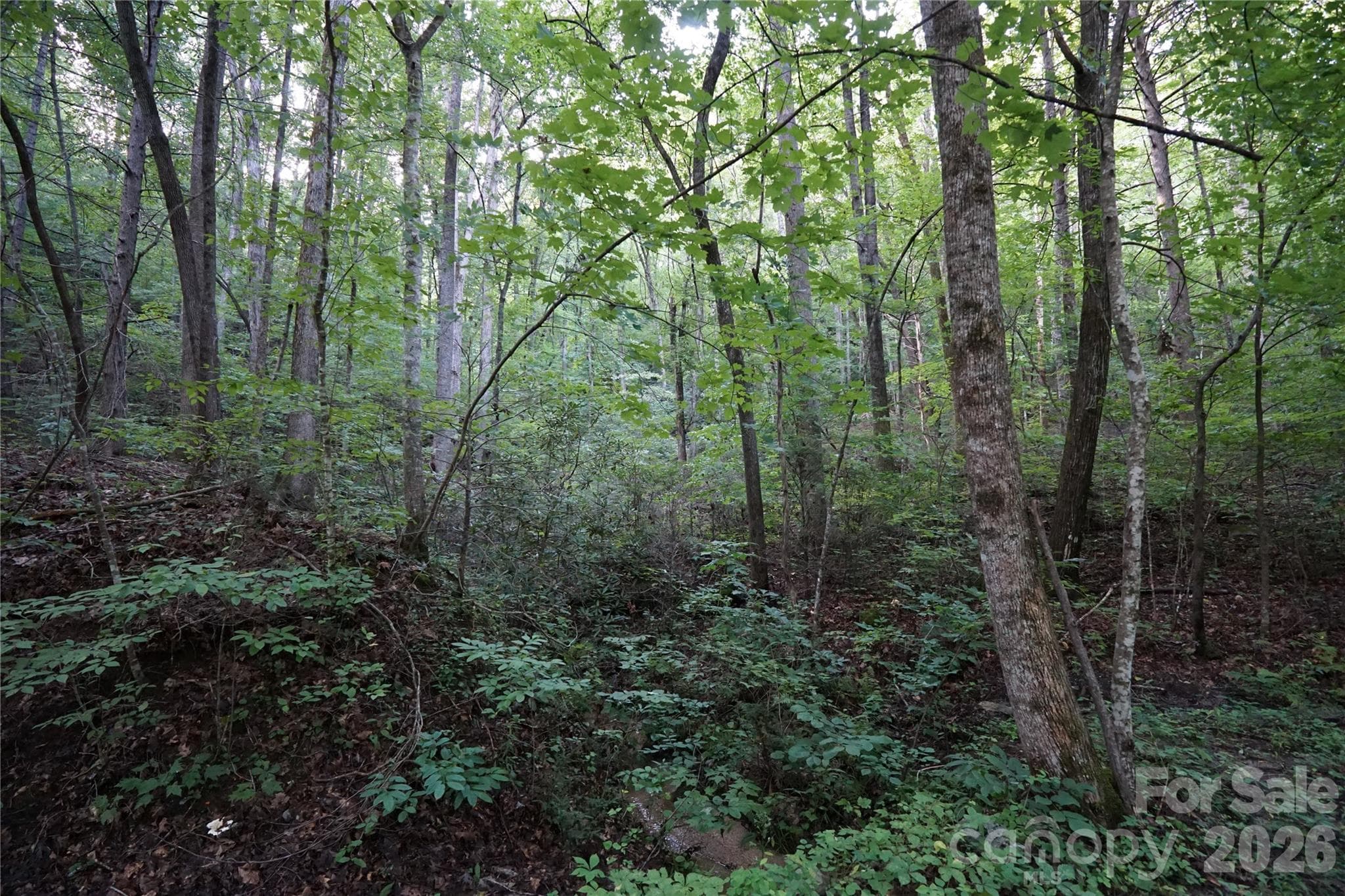 Acreage at 0 S Poplar Drive, Lake Lure, photo 13 of 19