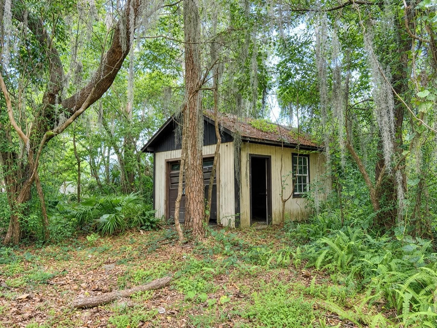 Single Family Residence at 217 PLUMOSA RD, DEBARY, photo 13 of 13