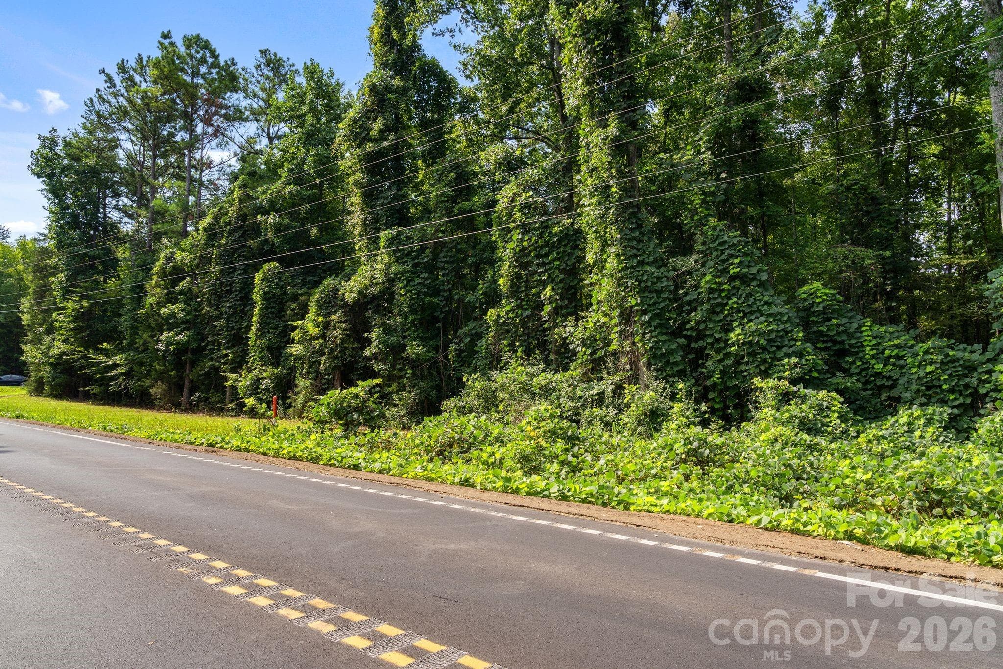 Acreage at 3312 McConnells Highway W, Sharon, photo 4 of 48