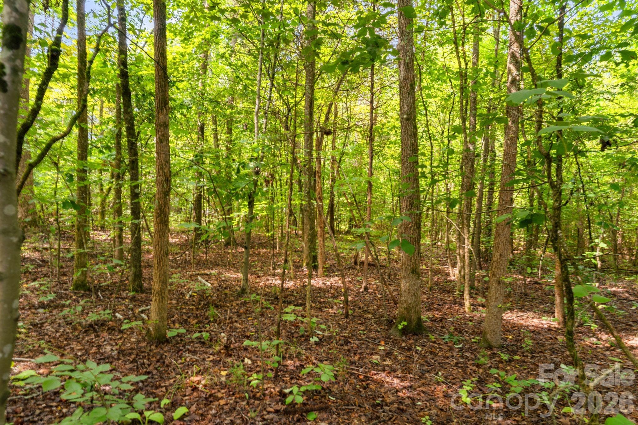 Acreage at 3312 McConnells Highway W, Sharon, photo 5 of 48