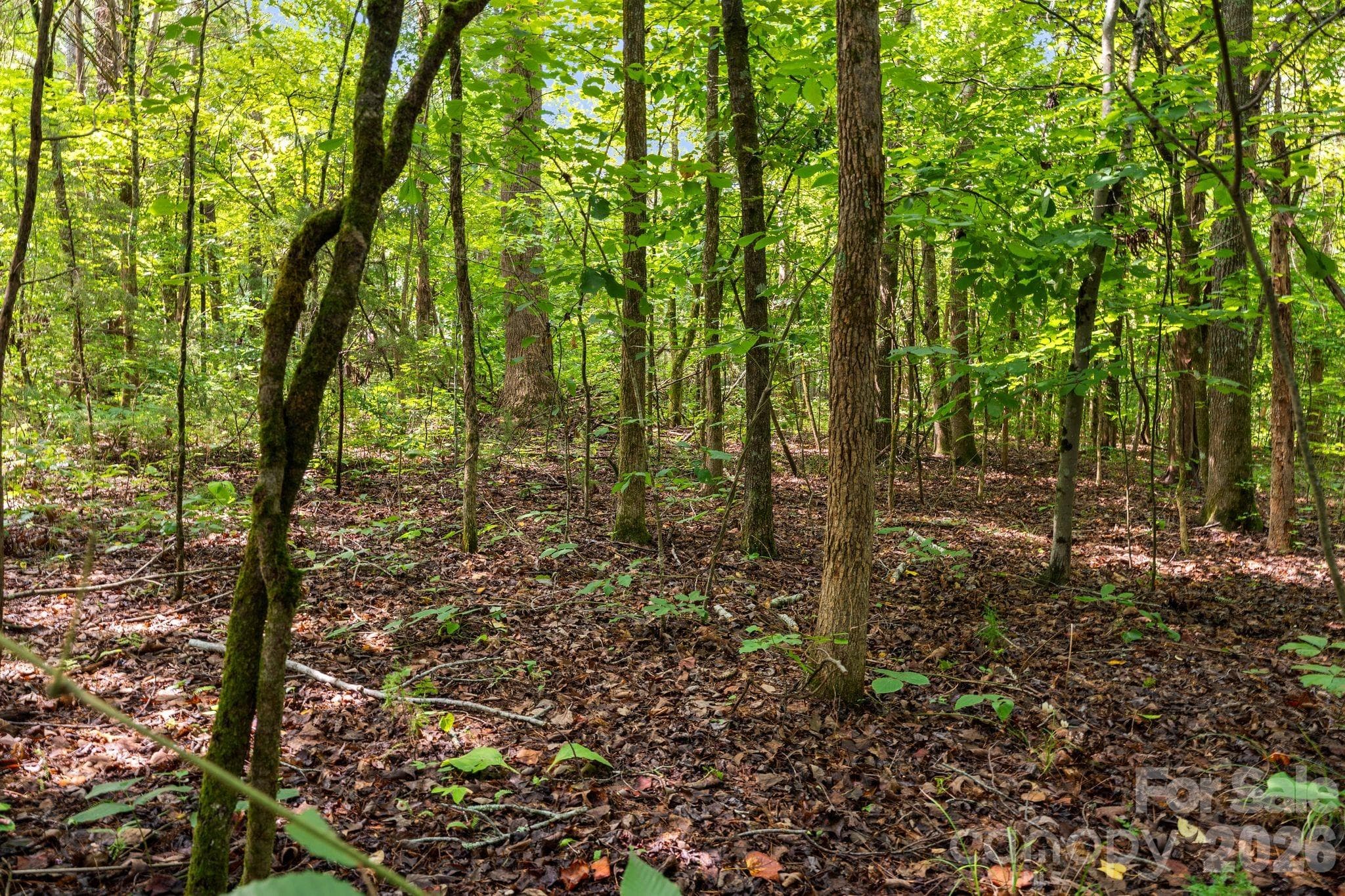 Acreage at 3312 McConnells Highway W, Sharon, photo 6 of 48