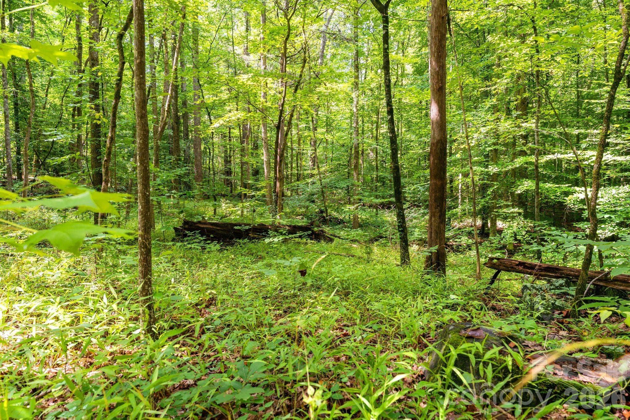 Acreage at 3312 McConnells Highway W, Sharon, photo 7 of 48