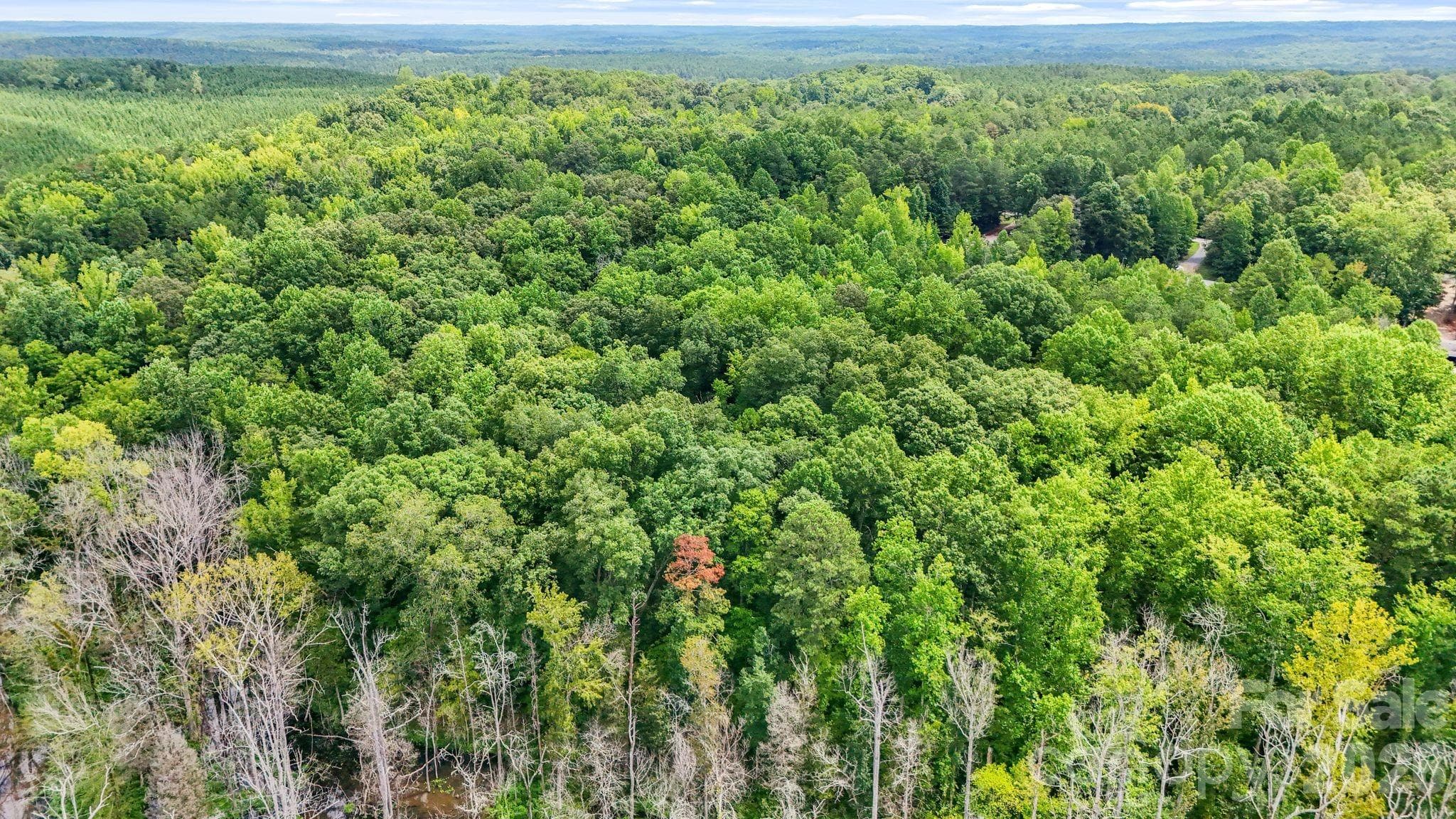 Acreage at 3312 McConnells Highway W, Sharon, photo 28 of 48