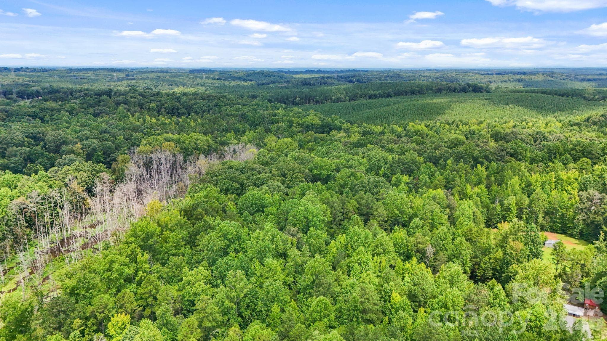 Acreage at 3312 McConnells Highway W, Sharon, photo 37 of 48