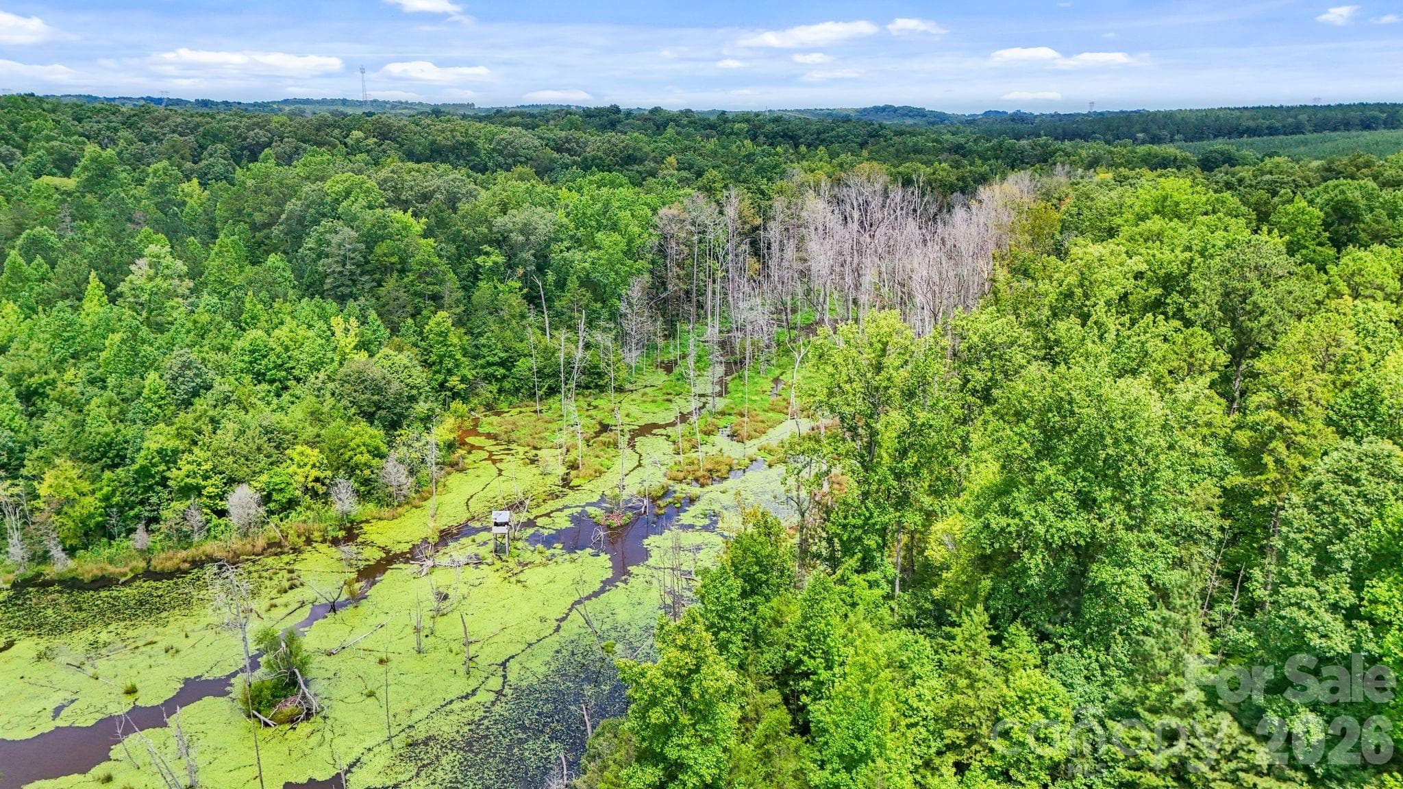 Acreage at 3312 McConnells Highway W, Sharon, photo 38 of 48
