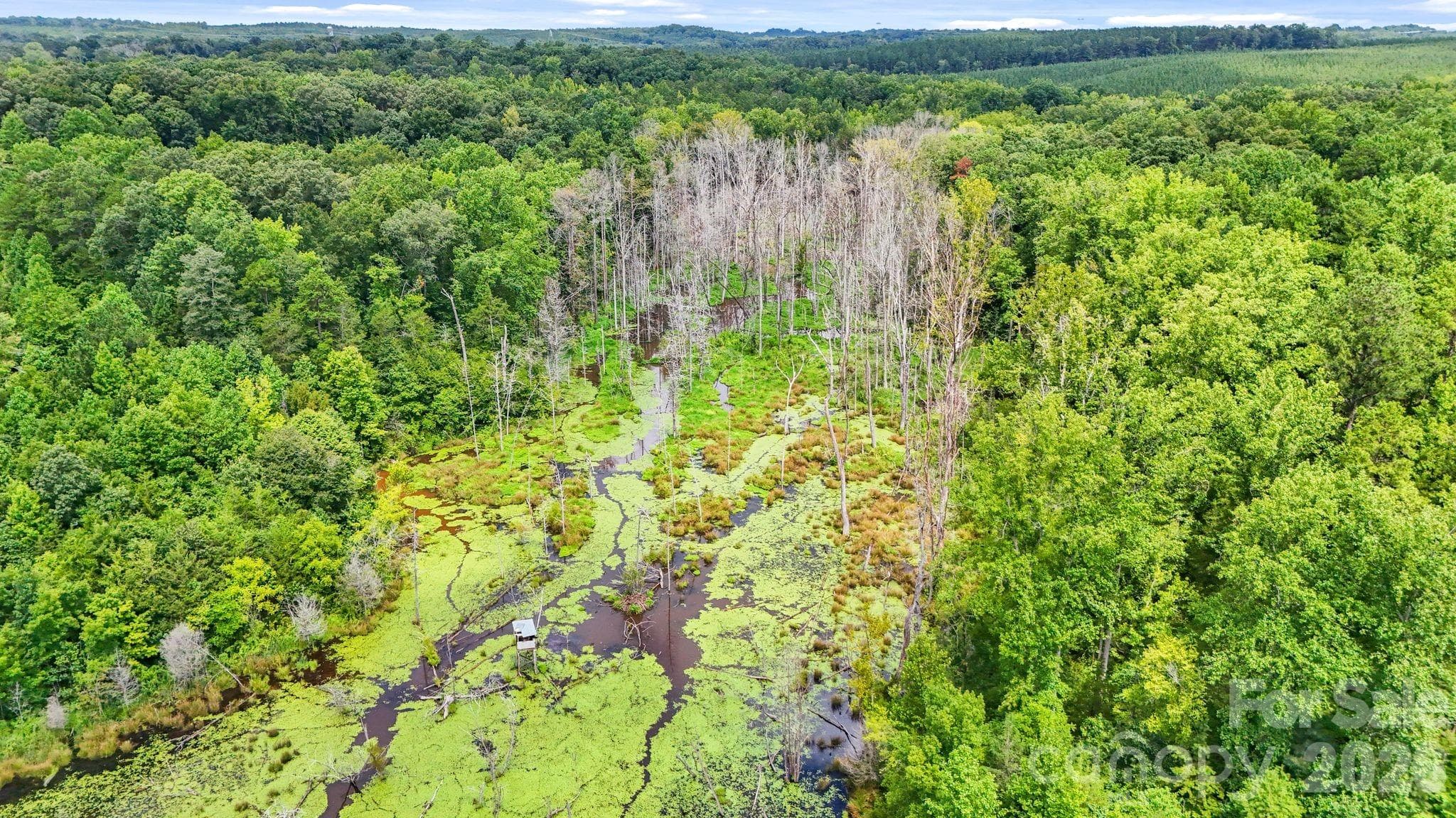 Acreage at 3312 McConnells Highway W, Sharon, photo 39 of 48