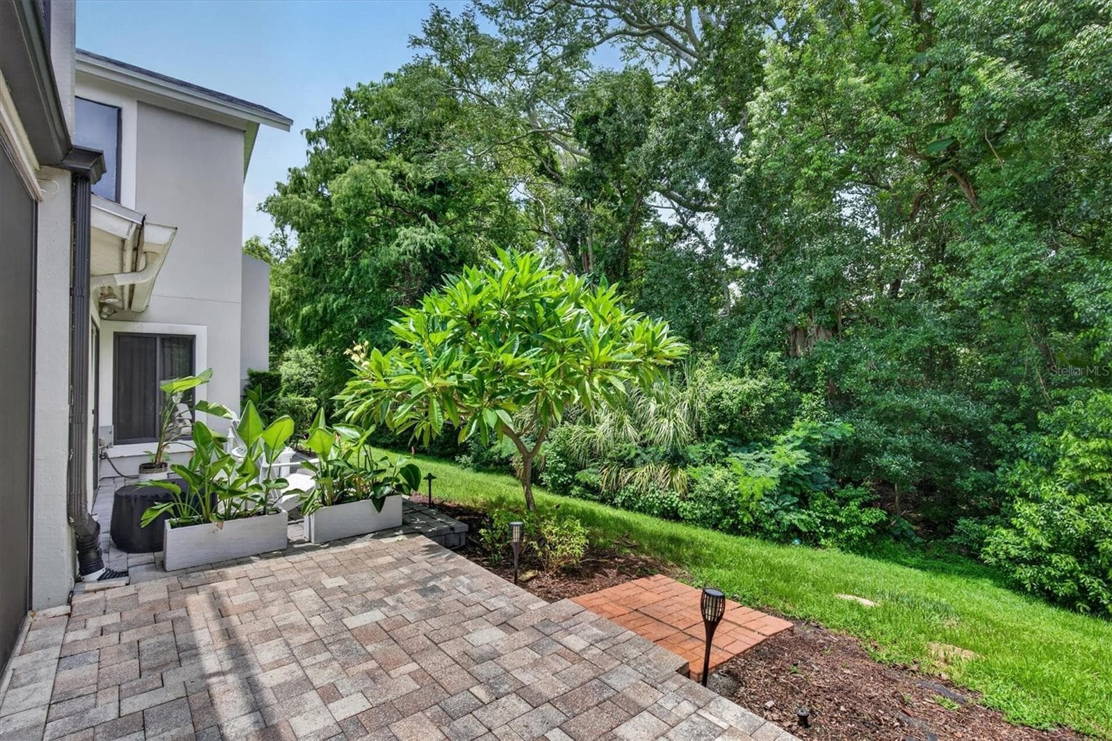 Backyard - 2631 ROYAL LIVERPOOL DR, TARPON SPRINGS