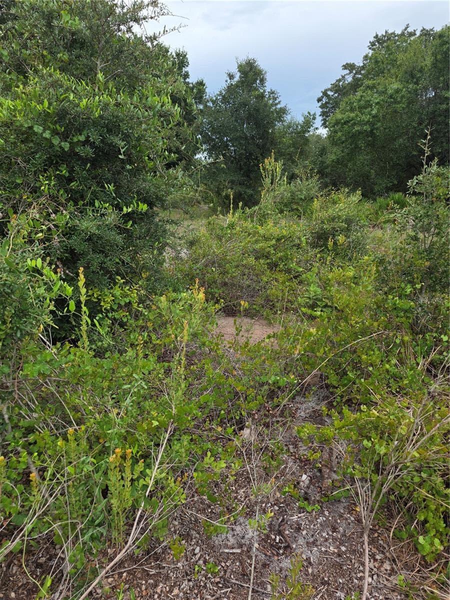 Land at 2354 MARCELLA TER, PUNTA GORDA, photo 2 of 5
