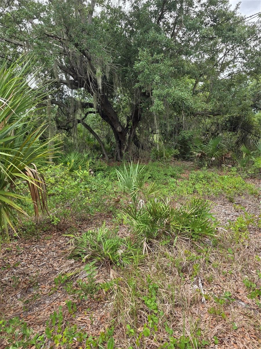 Land at 2354 MARCELLA TER, PUNTA GORDA, photo 3 of 5
