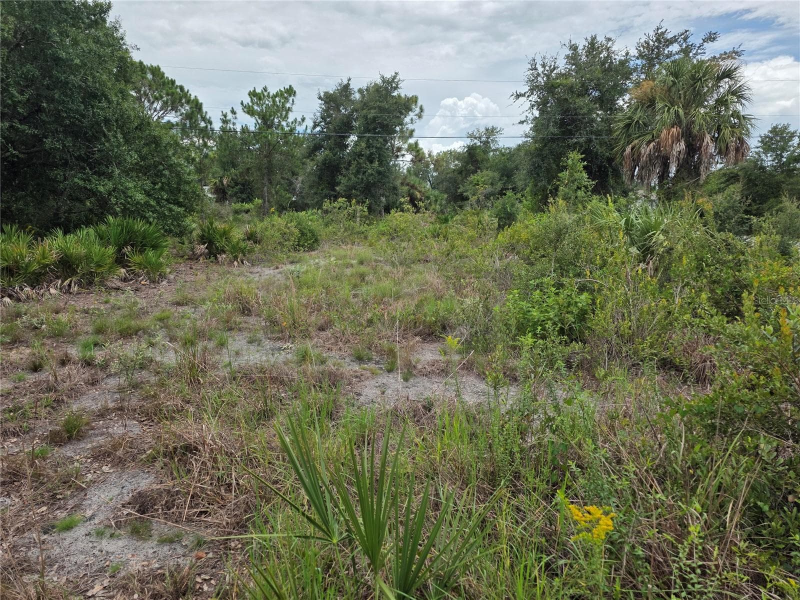 Land at 2354 MARCELLA TER, PUNTA GORDA, photo 5 of 5