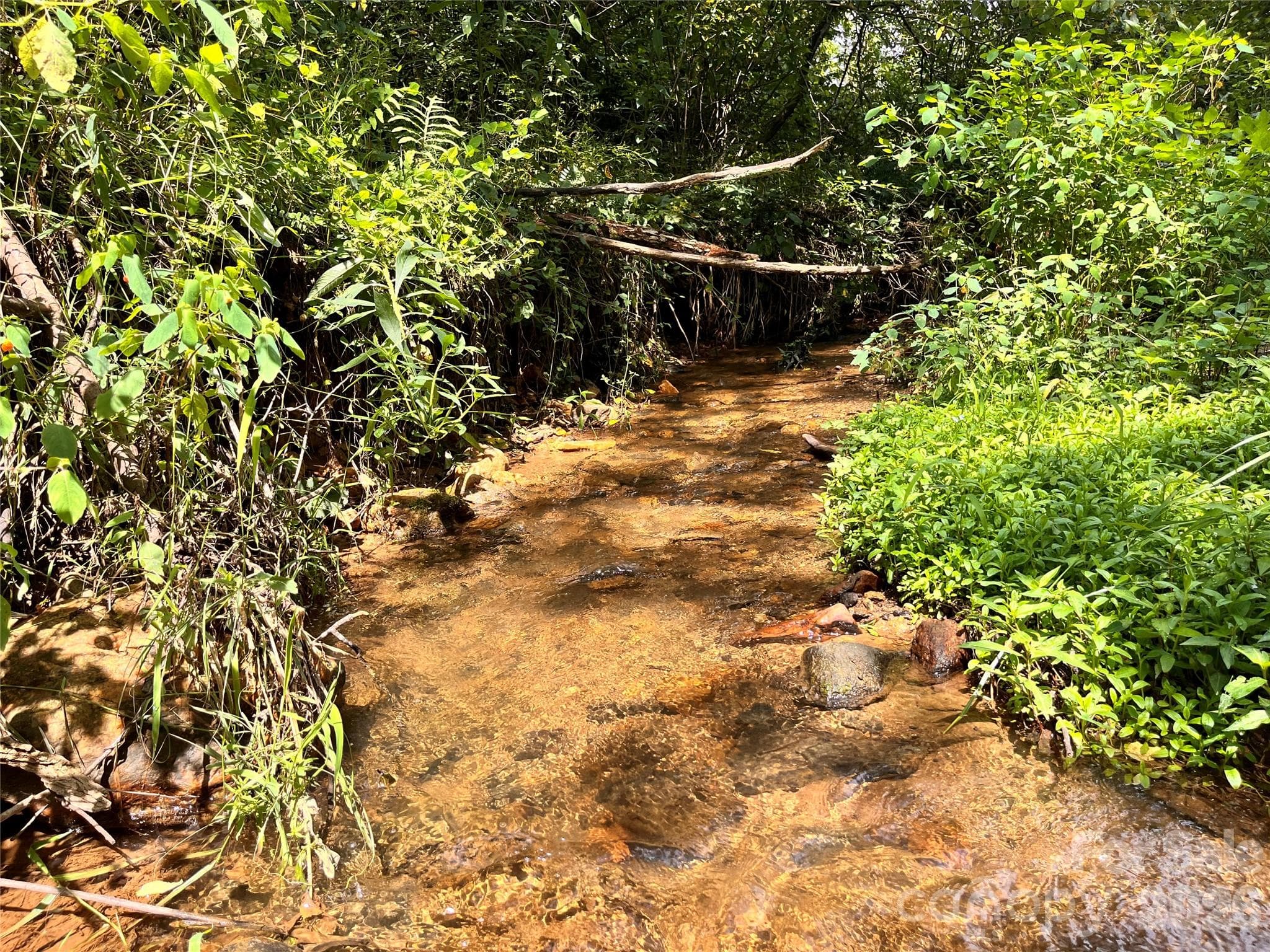 One of two creeks - 132 Hurd Road, Canton