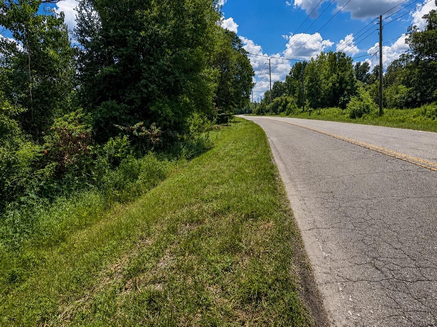 Land at TBD SE 136TH ST, STARKE, photo 2 of 11