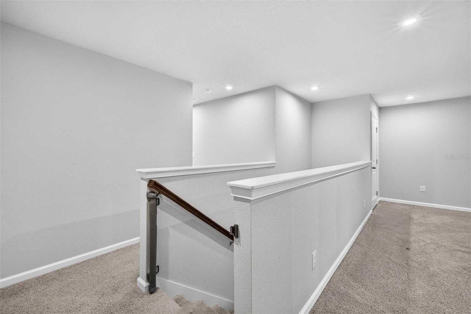 Townhouse at 4116 CLOUD HOPPER WAY, LUTZ, photo 22 of 64