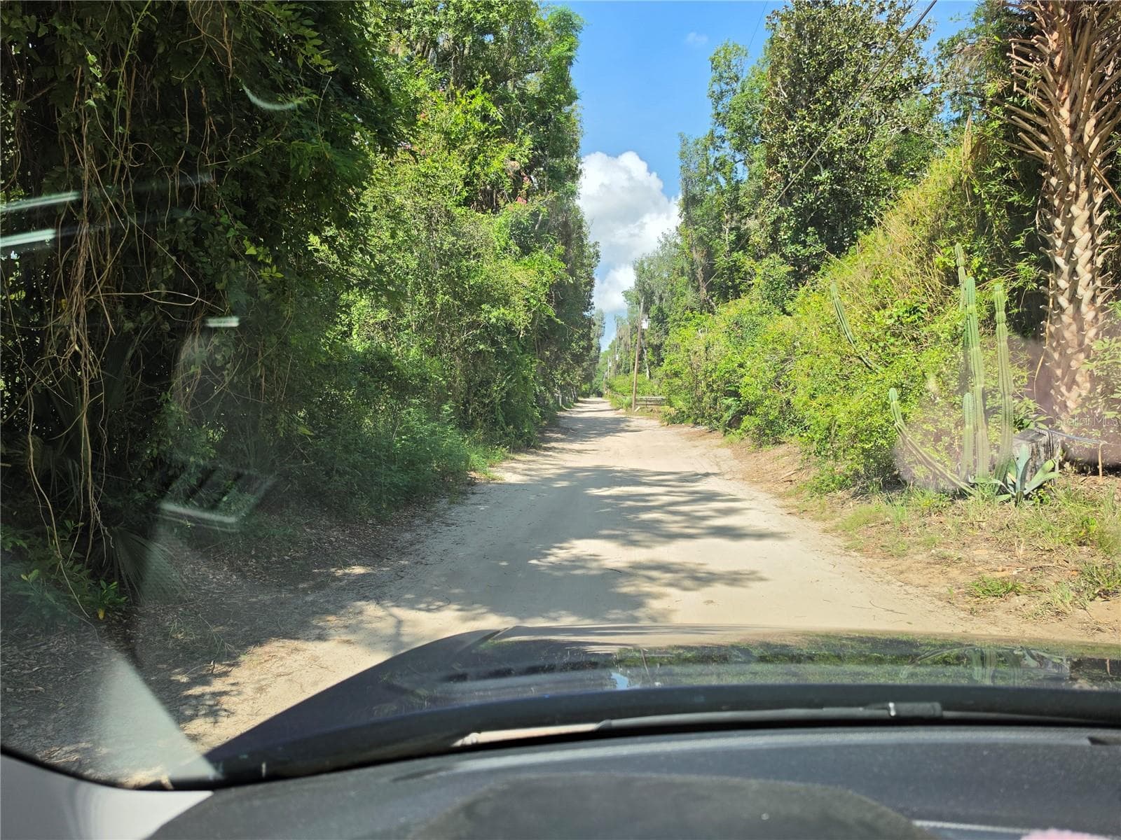 Road leading out from property. - 0 NE 167TH TER, SILVER SPRINGS
