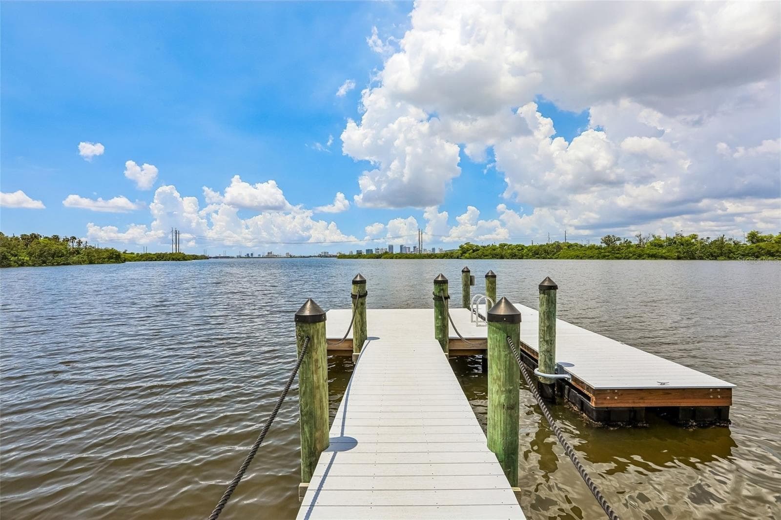 Townhouse at 4864 TUSCAN LOON DR, TAMPA, photo 18 of 25