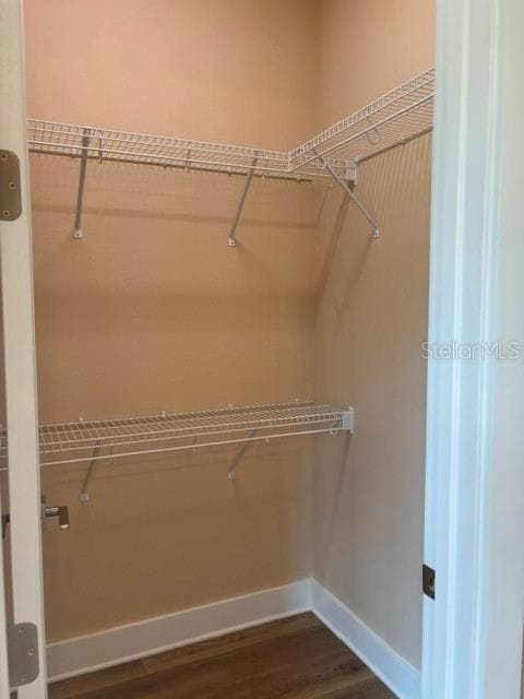 BR 2 Walk In Closet - 1137 DOROTHY ST, LAKELAND