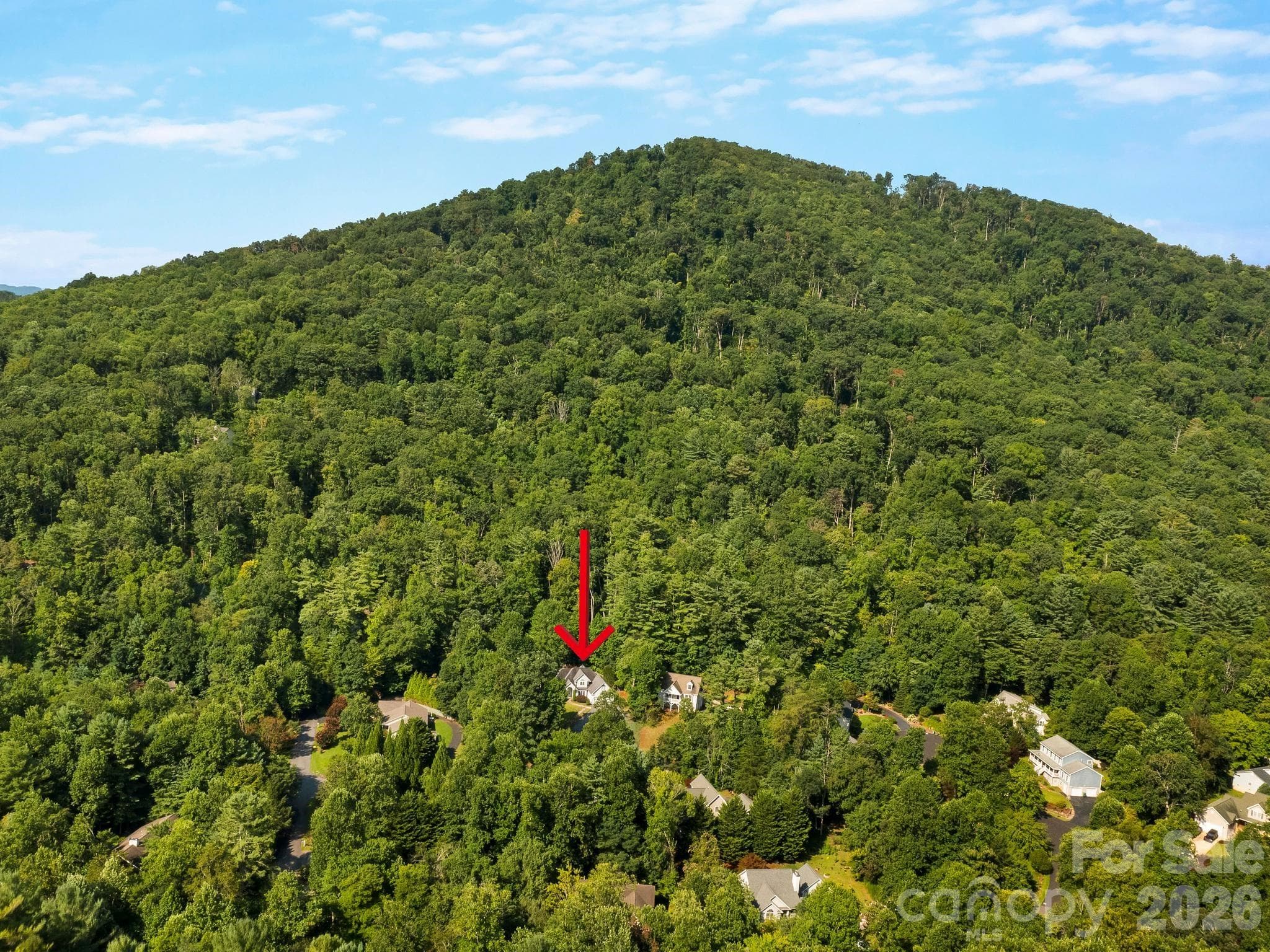 aerial view of home - 306 Golden Hawk Trail, Asheville