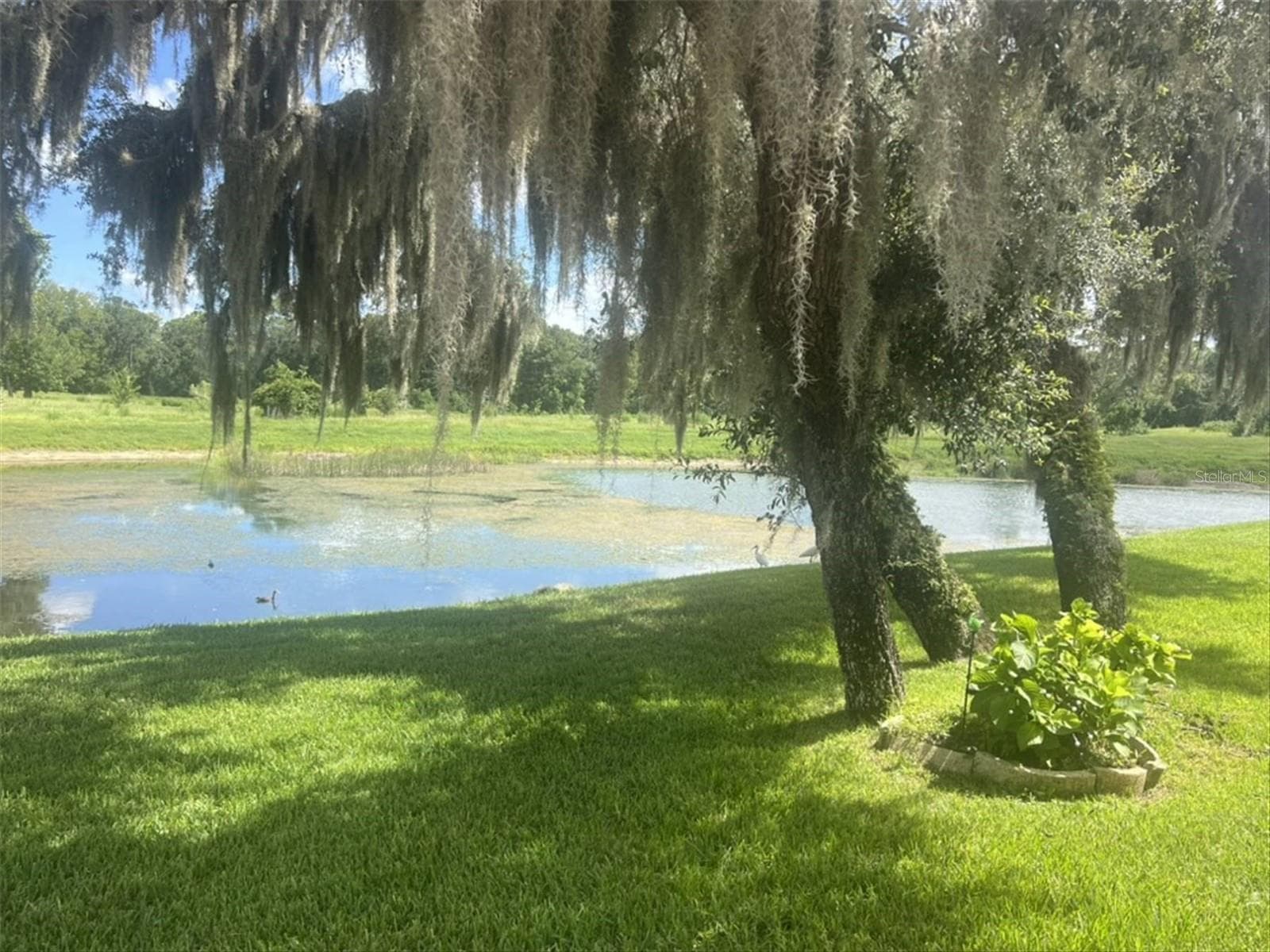 Villa at 10706 LAQUINTA DR, NEW PORT RICHEY, photo 46 of 53