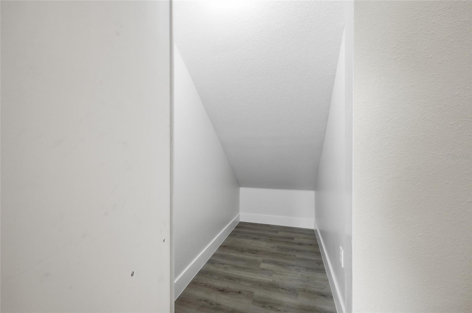 Hidden Storage/ Flex - 351 E WILDMERE AVE, LONGWOOD