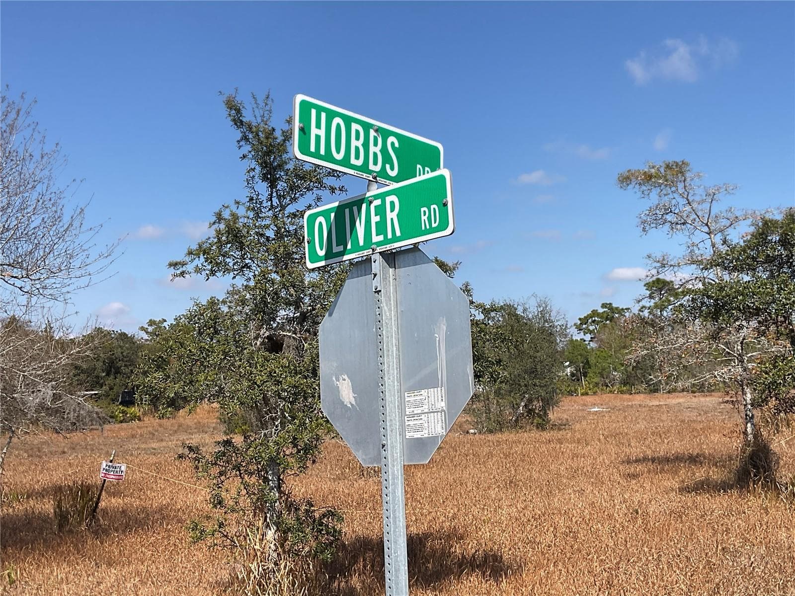 Land at 490 HOBBS DR, VENUS, photo 2 of 16