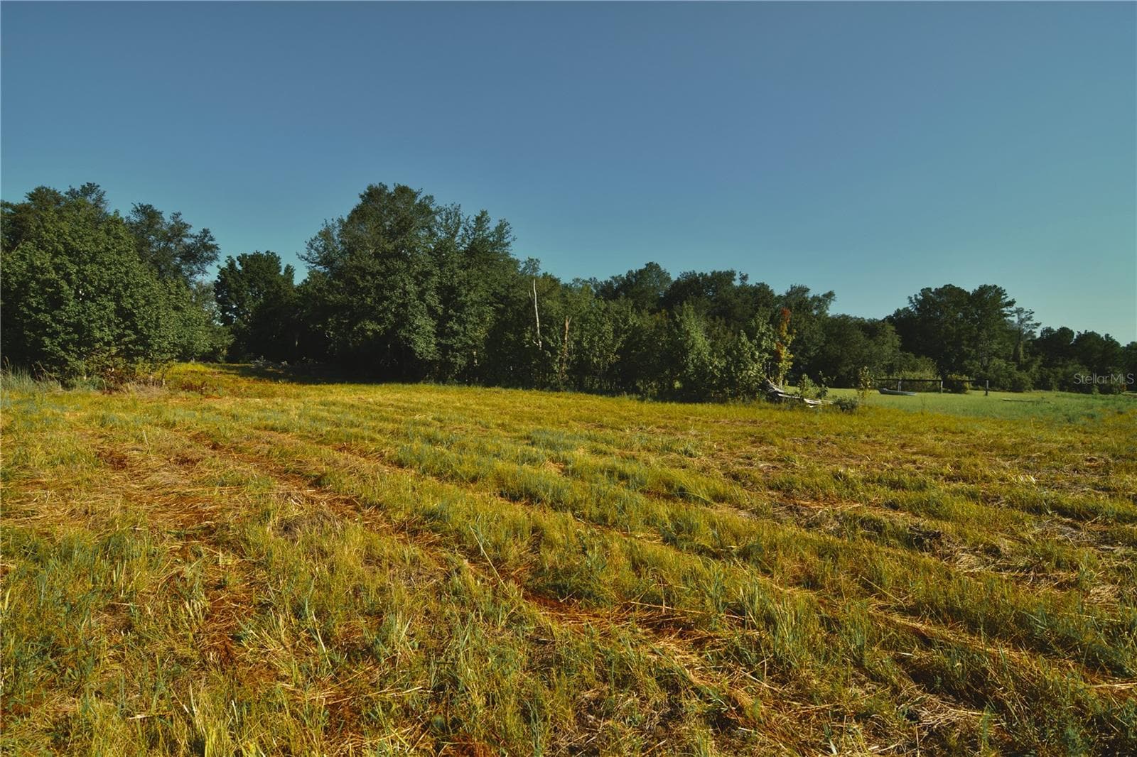 Land at 00 HALL LAKE RD, KEYSTONE HEIGHTS, photo 7 of 39