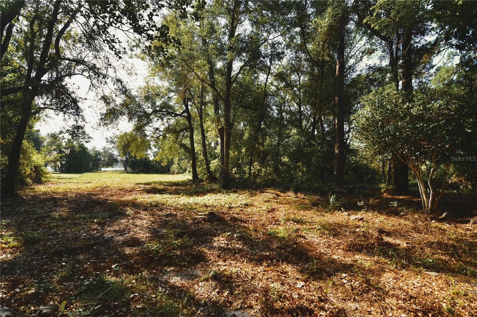 Land at 00 HALL LAKE RD, KEYSTONE HEIGHTS, photo 16 of 39