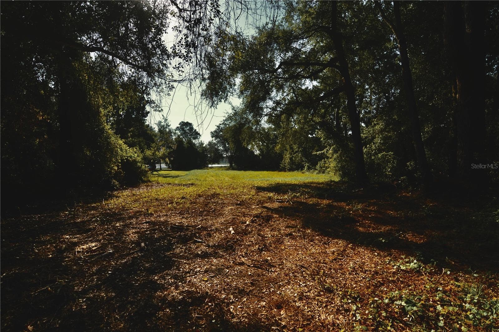 Land at 00 HALL LAKE RD, KEYSTONE HEIGHTS, photo 17 of 39